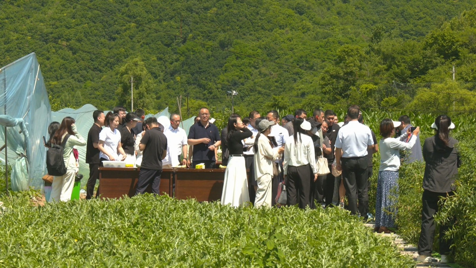 抚顺全方位赋能黄精及中药材产业发展现场会召开.mp4_20260730_123453.728.jpg